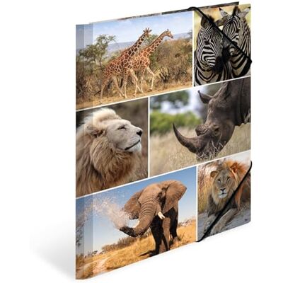HERMA Sammelmappen A4 Löwe Set, 3 Stück, Kinder Eckspanner-Mappen aus Pappe mit Afrika Tier Motiv, Gummizug, Innenklappen und Innendruck für Jungen und Mädchen HERMA Sammelmappen A4 Löwe Set, 3 Stück, Kinder Eckspanner-Mappen aus Pappe mit Afrika Tier Motiv, Gummizug, Innenklappen und Innendruck für Jungen und Mädchen