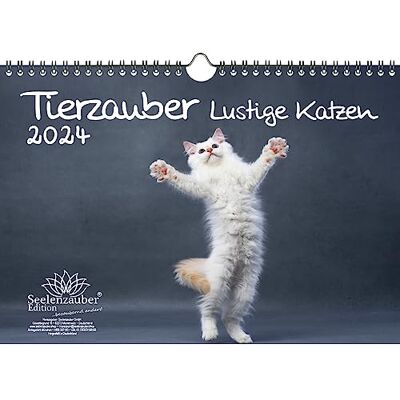 Seelenzauber Tierzauber lustige Katzen DIN A4 Kalender für 2024 Lustige Momente mit Katzen Seelenzauber Tierzauber lustige Katzen DIN A4 Kalender für 2024 Lustige Momente mit Katzen