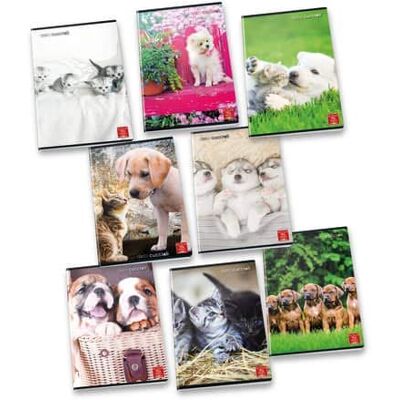 Pigna 42-Blatt A4-Notizbuch - Notebooks Pigna 42-Blatt A4-Notizbuch - Notebooks