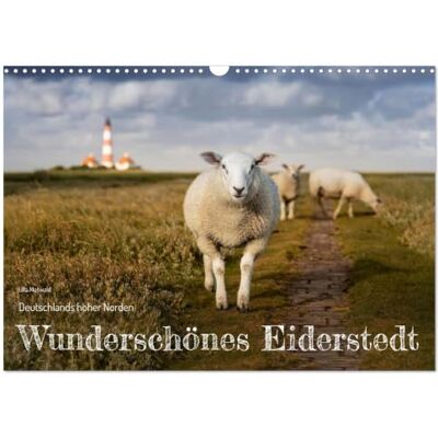 CALVENDO Le magnifique Eiderstedt (Calendrier mural 2027 DIN A3 vertical), calendrier mensuel CALVENDO Le magnifique Eiderstedt (Calendrier mural 2027 DIN A3 vertical), calendrier mensuel