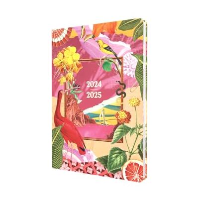 Collins Maximalism A5 Tagebuch Wochenansicht, akademisches Jahr 2024-25 – Rosa – Wochenplaner Mitte Jahr für Schüler, Lehrer und Akademiker – MX153M.45-2425 – August 2024 bis August 2025 Collins Maximalism A5 Tagebuch Wochenansicht, akademisches Jahr 2024-25 – Rosa – Wochenplaner Mitte Jahr für Schüler, Lehrer und Akademiker – MX153M.45-2425 – August 2024 bis August 2025