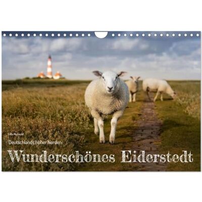 CALVENDO Le magnifique Eiderstedt (Calendrier mural 2027 DIN A4 vertical), calendrier mensuel CALVENDO Le magnifique Eiderstedt (Calendrier mural 2027 DIN A4 vertical), calendrier mensuel