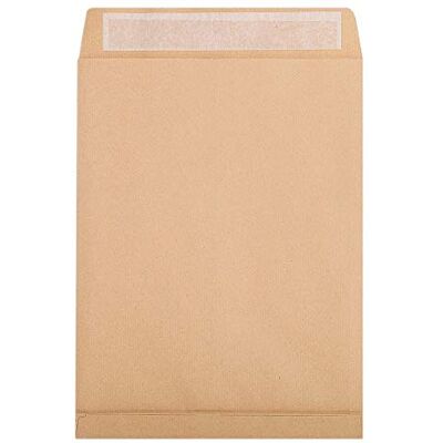 Clairefontaine 17456C Karton mit 250 Versandtaschen Kraftbraun 275x365mm, mit Rillen, dehnbar mit Falten 30 mm, selbstklebend, 120g, 1 Karton Clairefontaine 17456C Karton mit 250 Versandtaschen Kraftbraun 275x365mm, mit Rillen, dehnbar mit Falten 30 mm, selbstklebend, 120g, 1 Karton