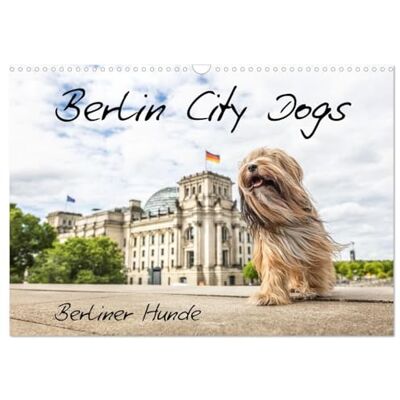 CALVENDO Berlin City Dogs Chiens berlinois (Calendrier mural 2027 DIN A3 vertical), calendrier mensuel CALVENDO Berlin City Dogs Chiens berlinois (Calendrier mural 2027 DIN A3 vertical), calendrier mensuel