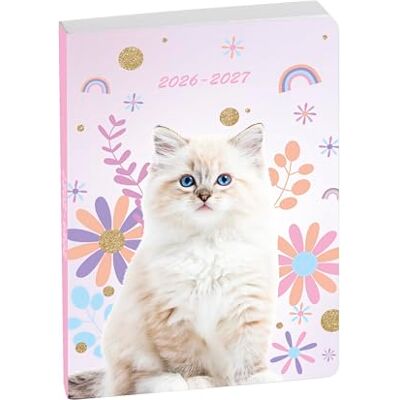 Exacompta Ref. 1877824E – 1 Kalender Forum Tiere Weiße Katze 12 x 17 cm Tageskalender August 2025 bis Juli 2026 – Katzenmotiv Exacompta Ref. 1877824E – 1 Kalender Forum Tiere Weiße Katze 12 x 17 cm Tageskalender August 2025 bis Juli 2026 – Katzenmotiv