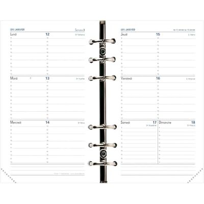 QUO VADIS Nachfüllpack Timer 17 Horizontal Taschen-Organizer, Wochenansicht, 10 x 17 cm, Jahr 2021 – 2022 QUO VADIS Nachfüllpack Timer 17 Horizontal Taschen-Organizer, Wochenansicht, 10 x 17 cm, Jahr 2021 – 2022