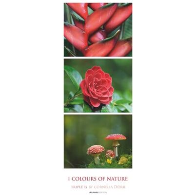 Alpha Colours of Nature: Triplets 2025 Streifenkalender XXL, 25x69cm, Kalender mit 3 aufeinander abgestimmten Bildern pro Monat, Notizmöglichkeiten und internationales Kalendarium Alpha Colours of Nature: Triplets 2025 Streifenkalender XXL, 25x69cm, Kalender mit 3 aufeinander abgestimmten Bildern pro Monat, Notizmöglichkeiten und internationales Kalendarium