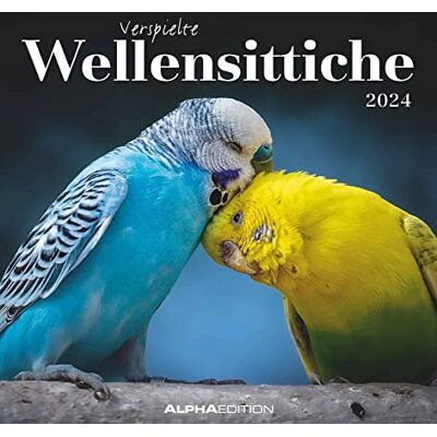Alpha Wellensittiche 2024 Postkartenkalender 16x17 cm Budgies zum Aufstellen oder Aufhängen Monatskalendarium Gadget Mitbringsel Alpha Wellensittiche 2024 Postkartenkalender 16x17 cm Budgies zum Aufstellen oder Aufhängen Monatskalendarium Gadget Mitbringsel