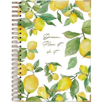 DOHE Dreambook Notizbuch A4 Blanko Innenseiten, 192 leere Seiten, Größe 21,5 x 30 cm, Hardcover, Doppel-Spiralbindung in Gold (Wire’o) Takenote Agatha DOHE Dreambook Notizbuch A4 Blanko Innenseiten, 192 leere Seiten, Größe 21,5 x 30 cm, Hardcover, Doppel-Spiralbindung in Gold (Wire’o) Takenote Agatha