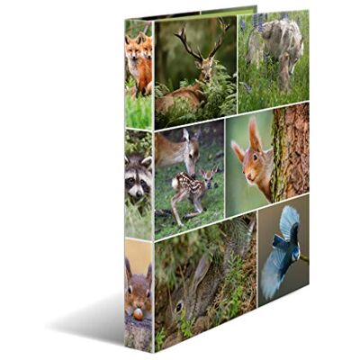 HERMA Ringbuch A4 Waldtiere, schmal, 4 Ringe, 35 mm breit, Kinder Ringordner mit Tier Motiv, bunter Ordner mit Innendruck für Jungen und Mädchen HERMA Ringbuch A4 Waldtiere, schmal, 4 Ringe, 35 mm breit, Kinder Ringordner mit Tier Motiv, bunter Ordner mit Innendruck für Jungen und Mädchen