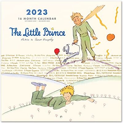 Grupo Erik Wandkalender 2023, Wandkalender 2023, Der Kleine Prinz Kalender zum Aufhängen, Kalender 2023 Wandkalender, Familienkalender 2023, offizielle Lizenz, FSC zertifiziert Grupo Erik Wandkalender 2023, Wandkalender 2023, Der Kleine Prinz Kalender zum Aufhängen, Kalender 2023 Wandkalender, Familienkalender 2023, offizielle Lizenz, FSC zertifiziert