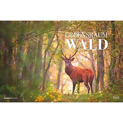 Alpha Lebensraum Wald 2024 Bildkalender 49,5x33 cm Tiere und Pflanzen in unseren heimischen Wäldern Wandkalender Wandplaner Tierkalender Alpha Lebensraum Wald 2024 Bildkalender 49,5x33 cm Tiere und Pflanzen in unseren heimischen Wäldern Wandkalender Wandplaner Tierkalender