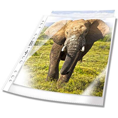 Durable Prospekthülle A4 extra breit, 240x310 mm, 90my, transparent, 50 Stück, 999111197 Durable Prospekthülle A4 extra breit, 240x310 mm, 90my, transparent, 50 Stück, 999111197
