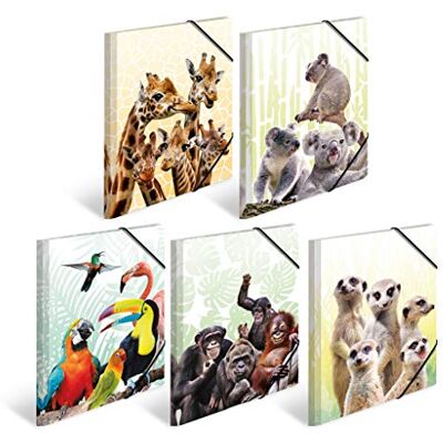 HERMA Sammelmappen A4 Tiermotive Set, 10 Stück, Kinder Eckspanner-Mappen aus Kunststoff mit Tier Motiv, Gummizug, Innenklappen und Innendruck für Jungen und Mädchen HERMA Sammelmappen A4 Tiermotive Set, 10 Stück, Kinder Eckspanner-Mappen aus Kunststoff mit Tier Motiv, Gummizug, Innenklappen und Innendruck für Jungen und Mädchen