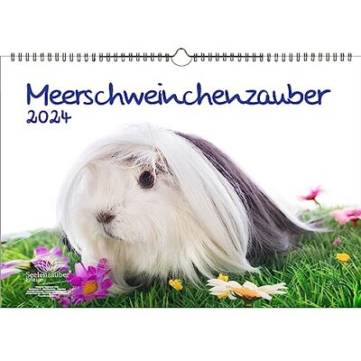 Seelenzauber Meerschweinchenzauber DIN A3 Kalender für 2024 Meerschweinchen Seelenzauber Meerschweinchenzauber DIN A3 Kalender für 2024 Meerschweinchen