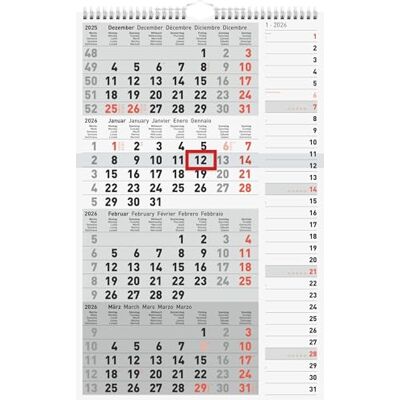 rido/idé 4-Monatskalender 2026 grau, 30×49 cm rido/idé 4-Monatskalender 2026 grau, 30×49 cm