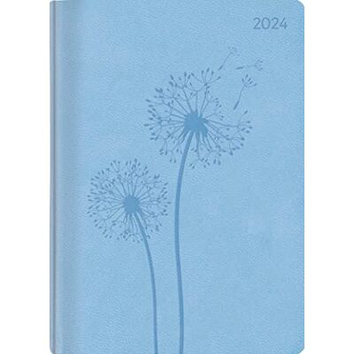 Alpha Ladytimer Grande Deluxe Sky 2024 Taschen-Kalender A5 (15x21 cm) Tucson Einband mit Motivprägung Weekly 128 Seiten Alpha Ladytimer Grande Deluxe Sky 2024 Taschen-Kalender A5 (15x21 cm) Tucson Einband mit Motivprägung Weekly 128 Seiten