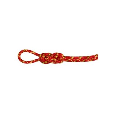 Mammut 8,0 Alpine Core Protect Dry Rope - Kletterseil Mammut 8,0 Alpine Core Protect Dry Rope - Kletterseil