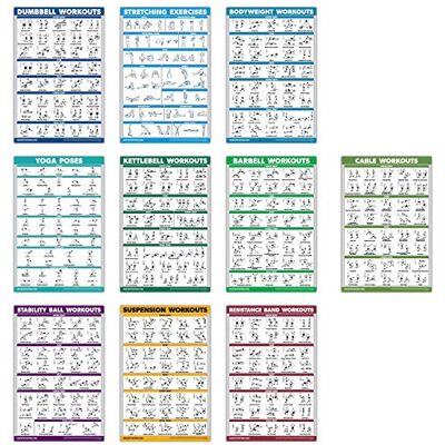 Palace Learning 10er-Pack Trainingsposter-Set, Kabelmaschine, Hanteln, Suspensionstraining, Kettlebells, Widerstandsbänder, Dehnübungen, Körpergewichtstraining, Langhantel, Yoga, Übungsball (laminiert, 45,7 x 61 cm) Palace Learning 10er-Pack Trainingsposter-Set, Kabelmaschine, Hanteln, Suspensionstraining, Kettlebells, Widerstandsbänder, Dehnübungen, Körpergewichtstraining, Langhantel, Yoga, Übungsball (laminiert, 45,7 x 61 cm)