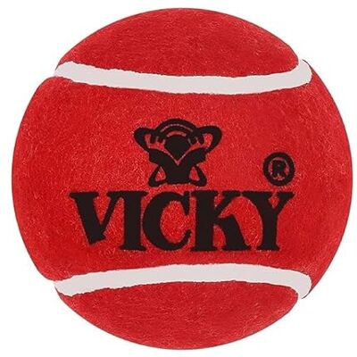 Vicky Maroon Tennis/Cricket Ball Farbe: Rot Größe: Einheitsgröße Material: Gummi Für Unisex 6er-Pack Schweres Mehrzweck-Design Langlebiger Gummi Vicky Maroon Tennis/Cricket Ball Farbe: Rot Größe: Einheitsgröße Material: Gummi Für Unisex 6er-Pack Schweres Mehrzweck-Design Langlebiger Gummi