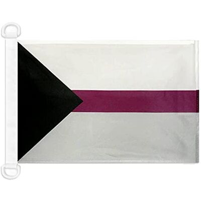 AZ FLAG Bootsflagge Demisexualität 45x30 cm Mesh-Polyester Kunststoffringe Für außen und Boote Bootsflagge wetterfest mit doppelten Nähten und verstärkten Kanten AZ FLAG Bootsflagge Demisexualität 45x30 cm Mesh-Polyester Kunststoffringe Für außen und Boote Bootsflagge wetterfest mit doppelten Nähten und verstärkten Kanten