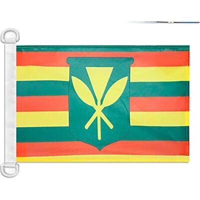 AZ FLAG Bootsflagge Hawaii Kanaka Maoli 45x30 cm Kunststoffringe Für außen und Boote Hawaiische Bundesstaat Bootsflagge wetterfest mit doppelten Nähten und verstärkten Kanten Mesh-Polyester AZ FLAG Bootsflagge Hawaii Kanaka Maoli 45x30 cm Kunststoffringe Für außen und Boote Hawaiische Bundesstaat Bootsflagge wetterfest mit doppelten Nähten und verstärkten Kanten Mesh-Polyester