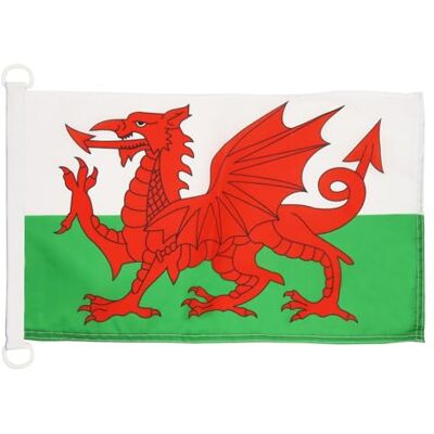 AZ FLAG Bootsflagge Wales 45x30 cm Mesh-Polyester Kunststoffringe Für außen und Boote Walisische Bootsflagge wetterfest mit doppelten Nähten und verstärkten Kanten AZ FLAG Bootsflagge Wales 45x30 cm Mesh-Polyester Kunststoffringe Für außen und Boote Walisische Bootsflagge wetterfest mit doppelten Nähten und verstärkten Kanten
