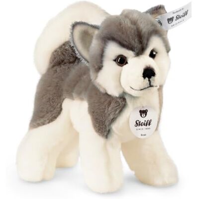 Steiff Kuscheltier Bernie Husky, Süßes Stofftier mit Kunststoffaugen, Kinder, Jungen & Mädchen, Plüschtier 17 cm, Weiß, 104985 Steiff Kuscheltier Bernie Husky, Süßes Stofftier mit Kunststoffaugen, Kinder, Jungen & Mädchen, Plüschtier 17 cm, Weiß, 104985