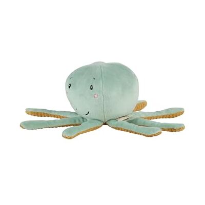 Sterntaler Kuscheltier S Octopus aus weichem Samt und Cord, gefüllt mit Polyesterwatte, 18 × 9,5 × 9,5 cm – pudergrün Sterntaler Kuscheltier S Octopus aus weichem Samt und Cord, gefüllt mit Polyesterwatte, 18 × 9,5 × 9,5 cm – pudergrün
