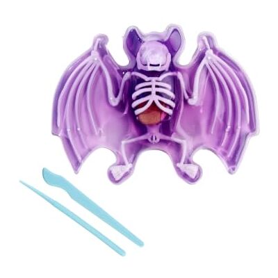 Simba Scout Dissect-It Fledermaus, zum Sezieren, 14cm, Skelett und Organe zum Zusammenbauen, Nachfüllset, Werkzeuge, ab 5 Jahren Simba Scout Dissect-It Fledermaus, zum Sezieren, 14cm, Skelett und Organe zum Zusammenbauen, Nachfüllset, Werkzeuge, ab 5 Jahren