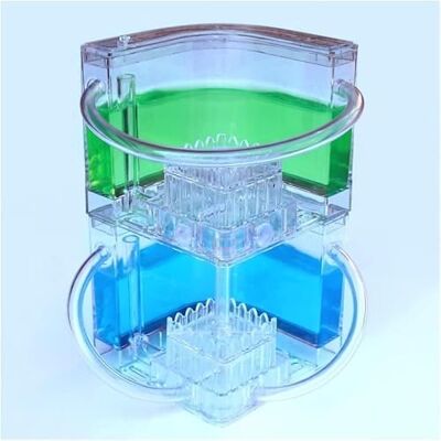 JvFbjLF Sehen Sie sich „Ameisen graben Tunnel – Ameisenfarm-Kit“ an(Blue+green) JvFbjLF Sehen Sie sich „Ameisen graben Tunnel – Ameisenfarm-Kit“ an(Blue+green)