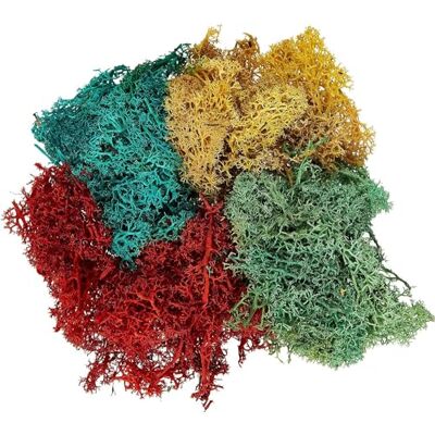 Busch 7105 Islandmoos, 4 Farben Busch 7105 Islandmoos, 4 Farben
