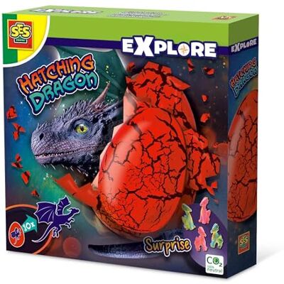 Creative Schlüpfender Drache Experimentierspielzeug Made in Holland für Kinder ab 5 Jahren Diverse Farben Nur Wasser erforderlich 25120 Creative Schlüpfender Drache Experimentierspielzeug Made in Holland für Kinder ab 5 Jahren Diverse Farben Nur Wasser erforderlich 25120