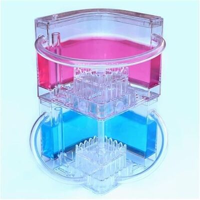 JvFbjLF Sehen Sie sich „Ameisen graben Tunnel – Ameisenfarm-Kit“ an(Blue+pink) JvFbjLF Sehen Sie sich „Ameisen graben Tunnel – Ameisenfarm-Kit“ an(Blue+pink)