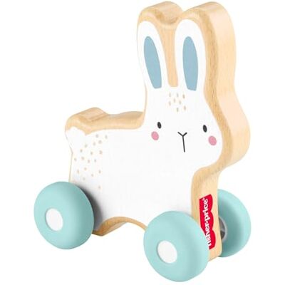 Fisher Price Holz-Schiebehäschen Babyspielzeug, Holzfahrzeug zur Förderung des Krabbelns für Babys ab 6 Monaten, JDM52 Fisher Price Holz-Schiebehäschen Babyspielzeug, Holzfahrzeug zur Förderung des Krabbelns für Babys ab 6 Monaten, JDM52