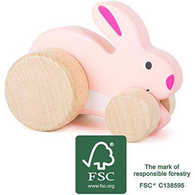 small foot 11047 Schiebetier Hase, aus 100% FSC®-zertifiziertem Holz, fördert die Fantasie und Kreativität, ab 12 Monate small foot 11047 Schiebetier Hase, aus 100% FSC®-zertifiziertem Holz, fördert die Fantasie und Kreativität, ab 12 Monate