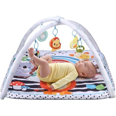 Exyvox Baby-Spielmatte, Babyspielzeug 0-6 Monate, Babymatte Baby, Play Arch Baby Gym, Verstellbarer Bogen, kognitive Entwicklung Exyvox Baby-Spielmatte, Babyspielzeug 0-6 Monate, Babymatte Baby, Play Arch Baby Gym, Verstellbarer Bogen, kognitive Entwicklung