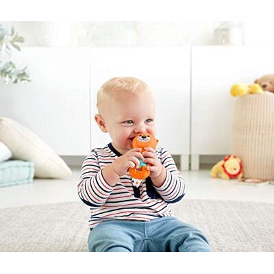 Fisher Price Hungry Otter Rattle Fisher Price Hungry Otter Rattle