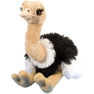 WILD REPUBLIC Cuddlekins Strauß, Stofftier, Baby-Geschenk für Mädchen und Jungen, Kinder Plüschtier, Kuscheltier Für Babys, Spielzeug aus Recyclingmaterial, 30 cm WILD REPUBLIC Cuddlekins Strauß, Stofftier, Baby-Geschenk für Mädchen und Jungen, Kinder Plüschtier, Kuscheltier Für Babys, Spielzeug aus Recyclingmaterial, 30 cm