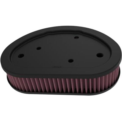 K&N HD-9608 Motorrad Tauschluftfilter kompatibel mit Harley Twin Cam Dyna Modelle 2008-2010 (HD-9608) K&N HD-9608 Motorrad Tauschluftfilter kompatibel mit Harley Twin Cam Dyna Modelle 2008-2010 (HD-9608)