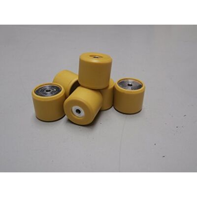 PIAGGIO Variatorrollensatz Variomatikgewichte, 19x17 mm, 10,0 g, 6 Stück, CM1038015 PIAGGIO Variatorrollensatz Variomatikgewichte, 19x17 mm, 10,0 g, 6 Stück, CM1038015