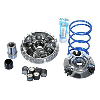 POLINI Variator Hi-Speed Piaggio Beverly 125, Aprilia Sportcity 125 OEM 241.713 kompatibel mit Piaggio X8 125 M36, Vespa GTS 300 Super M45200, Piaggio Skipper ST 125 4-Takt M21 POLINI Variator Hi-Speed Piaggio Beverly 125, Aprilia Sportcity 125 OEM 241.713 kompatibel mit Piaggio X8 125 M36, Vespa GTS 300 Super M45200, Piaggio Skipper ST 125 4-Takt M21