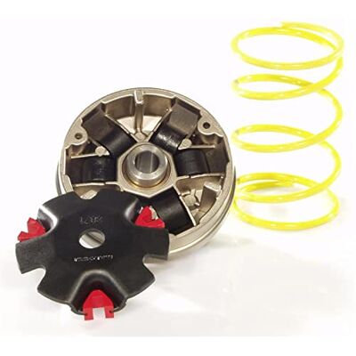 MALOSSI Variomatik Multivar für Keeway Fact Focus RY8, CPI, Generic ATU Spin GE 50, Race GT50 und andere Minarelli Clone Motoren 1E40QMB mit 16mm Kurbwellenstumpf MALOSSI Variomatik Multivar für Keeway Fact Focus RY8, CPI, Generic ATU Spin GE 50, Race GT50 und andere Minarelli Clone Motoren 1E40QMB mit 16mm Kurbwellenstumpf