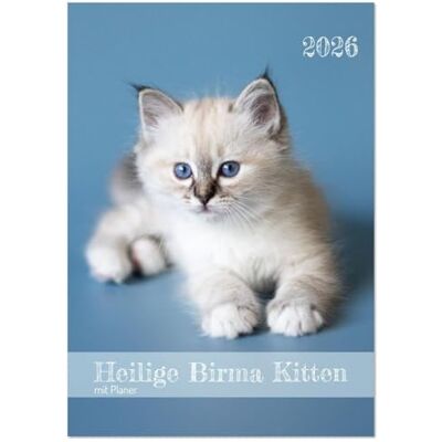 CALVENDO Heilige Birma Kitten Kalender mit Planer (Wandkalender 2026 DIN A2 hoch), Monatskalender: Niedliche Fotografien verspielter Katzenkinder. ( Tiere) CALVENDO Heilige Birma Kitten Kalender mit Planer (Wandkalender 2026 DIN A2 hoch), Monatskalender: Niedliche Fotografien verspielter Katzenkinder. ( Tiere)