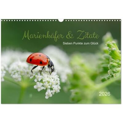 CALVENDO Marienkäfer & Zitate Sieben Punkte zum Glück (Wandkalender 2026 DIN A3 quer), Monatskalender: Glückskäfer-Kalender: Zitate und Fotos ( Tiere) CALVENDO Marienkäfer & Zitate Sieben Punkte zum Glück (Wandkalender 2026 DIN A3 quer), Monatskalender: Glückskäfer-Kalender: Zitate und Fotos ( Tiere)
