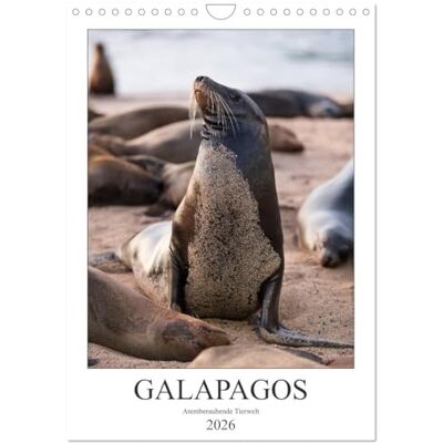 CALVENDO Galapagos Atemberaubende Tierwelt (Wandkalender 2026 DIN A4 hoch), Monatskalender: Atemberaubende Tiere der Galapagos-Inseln ( Tiere) CALVENDO Galapagos Atemberaubende Tierwelt (Wandkalender 2026 DIN A4 hoch), Monatskalender: Atemberaubende Tiere der Galapagos-Inseln ( Tiere)