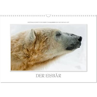 CALVENDO Kalender 2027 · Emotionale Momente: Der Eisbär Über Jahre hinweg hat der renommierte Naturfotograf Ingo Gerlach GDT Eisbären… · DIN A3 quer · Wandkalender CALVENDO Kalender 2027 · Emotionale Momente: Der Eisbär Über Jahre hinweg hat der renommierte Naturfotograf Ingo Gerlach GDT Eisbären… · DIN A3 quer · Wandkalender