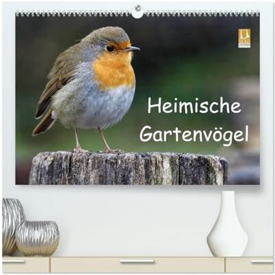 CALVENDO Heimische Gartenvögel (hochwertiger Premium Wandkalender 2026 DIN A2 quer), Kunstdruck in Hochglanz: Wunderschöne Aufnahmen, die die Pracht, Vielfalt ... für jeden Vogelliebhaber. ( Tiere) CALVENDO Heimische Gartenvögel (hochwertiger Premium Wandkalender 2026 DIN A2 quer), Kunstdruck in Hochglanz: Wunderschöne Aufnahmen, die die Pracht, Vielfalt ... für jeden Vogelliebhaber. ( Tiere)