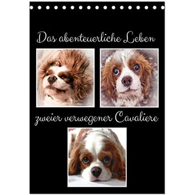 CALVENDO Das abenteuerliche Leben zweier verwegener Cavaliere (Tischkalender 2026 DIN A5 hoch), Monatskalender: Ein Cavalier King Charles Abenteuer Buch ( Tiere) CALVENDO Das abenteuerliche Leben zweier verwegener Cavaliere (Tischkalender 2026 DIN A5 hoch), Monatskalender: Ein Cavalier King Charles Abenteuer Buch ( Tiere)