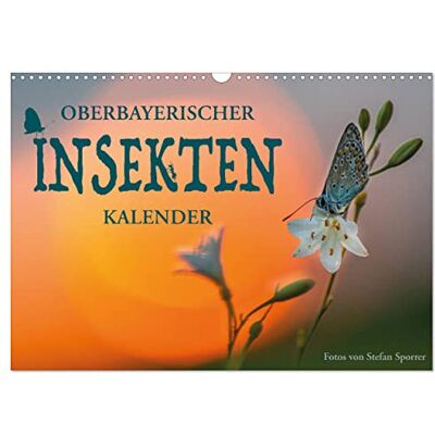 CALVENDO Oberbayerischer Insekten Kalender (Wandkalender 2026 DIN A3 quer), Monatskalender: Wie sechsbeinige Zweiflügler die Fantasie beflügeln ( Tiere) CALVENDO Oberbayerischer Insekten Kalender (Wandkalender 2026 DIN A3 quer), Monatskalender: Wie sechsbeinige Zweiflügler die Fantasie beflügeln ( Tiere)